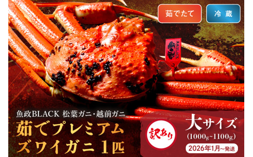 訳あり　【蟹の匠 魚政】茹で　プレミアムズワイガニ 魚政BLACK（松葉ガニ・越前ガニ） 大サイズ（1000～1100g） 1匹【2026年1月～発送：土日祝】　UO01315