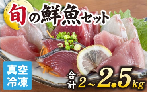 【日本海鮮魚】漁師厳選鮮魚真空冷凍セット　約2g～2.5kg(4種以上)／ 魚 詰め合わせ 新鮮 煮物 焼き物 お造り 刺身 晩酌 食卓 BBQ  急速冷凍 真空パック 鮮魚セット 詰合せ 鮮魚店 厳選 お任せ 鮮度 産直 海鮮 加熱用 冷凍保存 福井県 南越前町 越前 送料無料