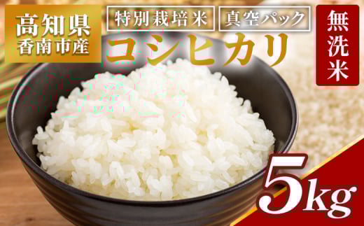 無洗米 5kg 特別栽培米 真空パック コシヒカリ 国産 高知県香南市産 米 お米 おこめ こしひかり 白米 ｺｼﾋｶﾘ むせんまい 5kg ごはん おにぎり おむすび ムセンマイ 5kg ﾑｾﾝﾏｲ 5kg ご飯 農業公社 高知県 香南市 常温 nu-0002