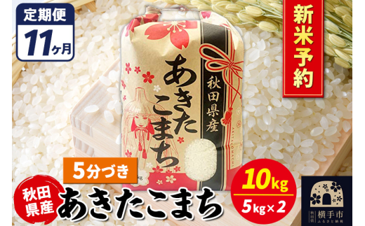 《令和7年産 新米受付》《定期便11ヶ月》あきたこまち 10kg【5分づき】秋田県産 こまちライン