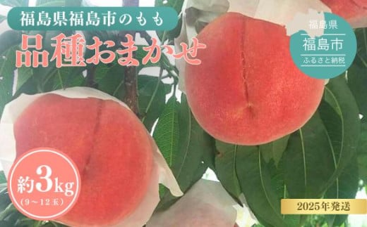 No.3113 福島の桃 約3kg(9～12玉）品種おまかせ【2025年発送】