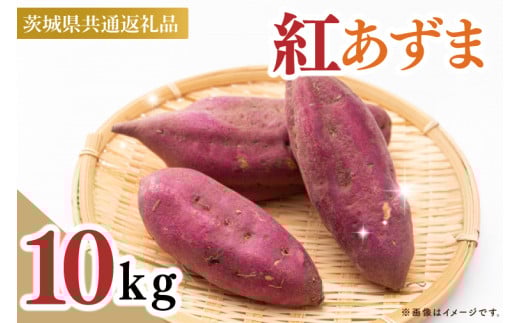 【茨城県共通返礼品】【2025年9月中旬より発送】さつまいも　紅あずま　Mサイズ　10kg（5kg×2箱）（水戸市・ひたちなか市・鹿嶋市・行方市・大洗町産）【さつまいも サツマイモ 芋 腸活 焼芋 やきいも 焼きいも やき芋 高糖度 阿見町 茨城県】（88-08）