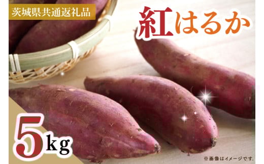 【茨城県共通返礼品】【2025年10月中旬より発送】さつまいも　紅はるか　Mサイズ　5kg（18～20本）（水戸市・ひたちなか市・鹿嶋市・行方市・大洗町産）【さつまいも サツマイモ 芋 腸活 焼芋 やきいも 焼きいも やき芋 高糖度 阿見町 茨城県】（88-05）