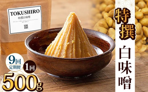 【定期便9回】特撰白味噌 500g | お味噌 味噌 みそ汁 オリジナル味噌  手づくり 手作り 送料無料 栃木県 下野市 2155463 - 栃木県下野市