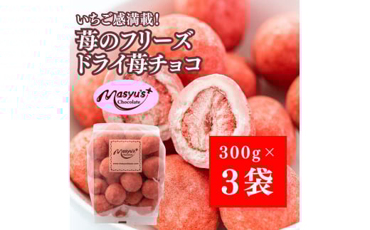 苺のフリーズドライ苺チョコ900g 300gx3袋 11月～3月発送 チョコレート チョコ スイーツ お菓子 おかし いちご ホワイトチョコ イチゴ パウダー ギフト プレゼント 兵庫県 伊丹市[№5275-0740]