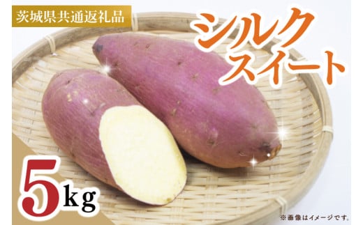【茨城県共通返礼品】【2025年10月中旬より発送】さつまいも　シルクスイート　Mサイズ　5kg（水戸市・ひたちなか市・鹿嶋市・行方市・大洗町産）【さつまいも サツマイモ 芋 腸活 焼芋 やきいも 焼きいも やき芋 高糖度 阿見町 茨城県】（88-09）
