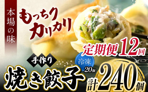 12回 定期便 メディアで話題！ 地元野菜 ・ 国産素材 を使用 手作り焼き餃子 ( 冷凍 ) 20個 【 手作り餃子の店 吉春 】 |  料理 食品 ぎょうざ ギョーザ 餃子 水餃子 冷凍餃子 人気 にんにく不使用 にんにくなし ニンニク不使用 お惣菜 定番 もちもち カリカリ お取り寄せ 豚肉 豚 小麦 北海道小麦 キャベツ にら しょうが 国産 グルメ 本場 麺点師 国領 調布 東京