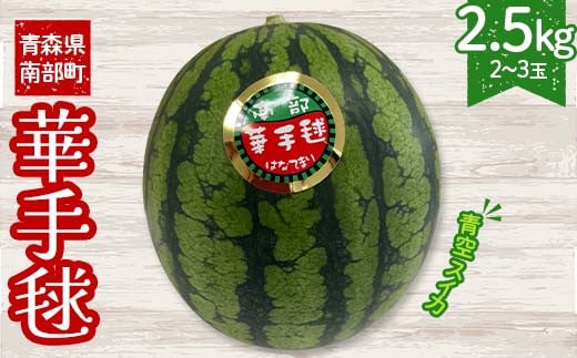 ≪数量限定≫ 青空スイカ 「宙づり栽培の小玉スイカ(華手毬)」 2.5kg (2～3玉) 【大向農園】 西瓜 すいか 夏 青森県 南部町 ギフト お中元 F21U-507