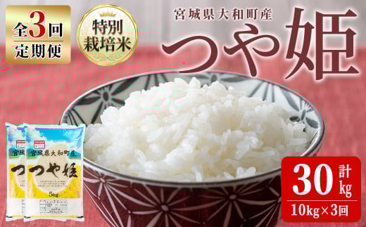 【令和7年産】＜3か月定期便＞特別栽培米 つや姫 10kg×3回(合計30kg) お米 おこめ 米 コメ 白米 ご飯 ごはん おにぎり お弁当 頒布会【農事組合法人若木の里】ta548 691818 - 宮城県大和町