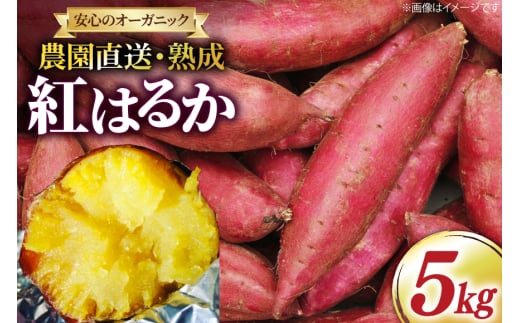 さつまいも 紅はるか 5kg [いしばし農園 福岡県 筑紫野市 21760964] さつま芋 べにはるか 5キロ 芋 お芋 オーガニック 有機 熟成