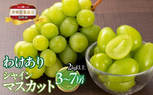 山梨県笛吹市産　わけありシャインマスカット　2kg以上　3房～7房 223-017|ふるさと納税 人気 おすすめ ランキング  シャインマスカット 国産 人気 期間限定 果物 フルーツ ギフト 贈り物 プレゼント 旬 山梨県 笛吹市 送料無料