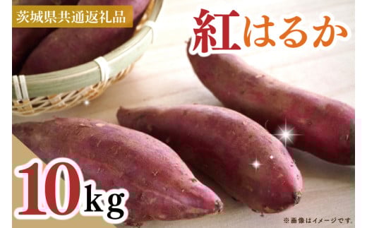 【茨城県共通返礼品】【2025年10月中旬より発送】さつまいも　紅はるか　Mサイズ　10kg（5kg×2箱）（水戸市・ひたちなか市・鹿嶋市・行方市・大洗町産）【さつまいも サツマイモ 芋 腸活 焼芋 やきいも 焼きいも やき芋 高糖度 阿見町 茨城県】（88-06）