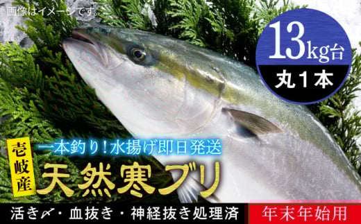 【13キロ台】 【11/1〜1/15お届け 年末年始用】天然 寒ブリ（丸もの ） 《壱岐市》【壱岐島　玄海屋】[JBS115]  ぶり 寒ぶり ブリ 魚 刺身 しゃぶしゃぶ 