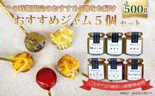 No.089 おすすめジャム5個セット ／ 柑橘 ママレード 苺 イチゴ キウイフルーツ 蜜柑 ブルーベリー ラズベリー 人気 加工食品 手作り 白砂糖不使用 ペクチン不使用 無添加 フルーツスプレッド コンフィチュール トッピング 詰め合わせ 食べ比べ 神奈川県産果物 神奈川県