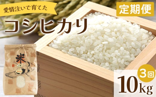 【定期便】愛情注いで育てたコシヒカリ 10kg 3回 合計30kg Wtd-0013