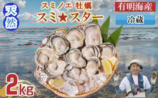 【2月配送】【先行予約】天然 有明海産「冷蔵スミノエ牡蠣」スミ☆スター2Kg　はしま海苔 