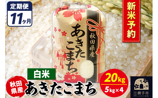 あきたこまち 令和7年産 新米受付》《定期便11ヶ月》あきたこまち 5kg【白米