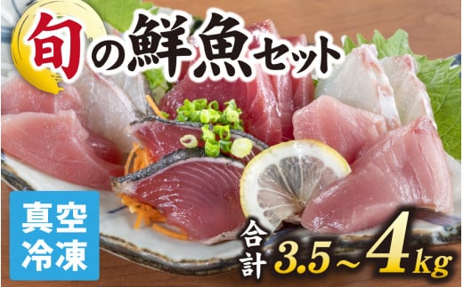 【日本海鮮魚】漁師厳選鮮魚真空冷凍セット約3.5g～4.0kg(5種以上) | 魚 詰め合わせ 新鮮 煮物 焼き物 お造り 刺身 晩酌 食卓 BBQ 急速冷凍 真空パック 鮮魚セット 詰合せ 鮮魚店 厳選 お任せ 鮮度 産直 海鮮 加熱用 冷凍保存 福井県 南越前町 越前 送料無料
