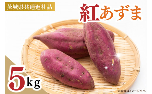【茨城県共通返礼品】【2025年9月中旬より発送】さつまいも　紅あずま　Mサイズ　5kg（水戸市・ひたちなか市・鹿嶋市・行方市・大洗町産）【さつまいも サツマイモ 芋 腸活 焼芋 やきいも 焼きいも やき芋 高糖度 阿見町 茨城県】（88-07）