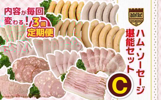 【定期便3回】ハム・ソーセージ堪能セットC | 肉 豚肉 豚 加工 加工肉 ハム ソーセージ ギフト セット 手作り 低添加 栃木県 特産品