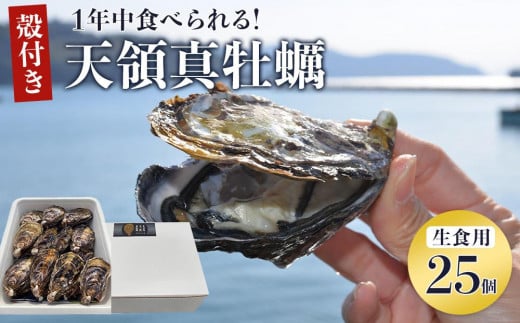 小豆島 天領真牡蠣 (殻付き生食用) 25個セット 2154805 - 香川県小豆島町