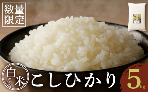 先行予約≪都農町産≫新米コシヒカリ(5kg) 米 お米 ご飯 国産