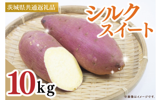 【茨城県共通返礼品】【2025年10月中旬より発送】さつまいも　シルクスイート　Mサイズ　10kg（5kg×2箱）（水戸市・ひたちなか市・鹿嶋市・行方市・大洗町産）【さつまいも サツマイモ 芋 腸活 焼芋 やきいも 焼きいも やき芋 高糖度 阿見町 茨城県】（88-10）
