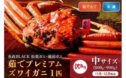 訳あり　【蟹の匠 魚政】茹で　プレミアムズワイガニ 魚政BLACK（松葉ガニ・越前ガニ） 中サイズ（800～900g） 1匹【11月～12月発送：平日】　UO01312