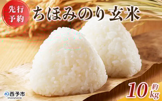 【先行予約】＜ちほみのり 玄米 10kg＞ げんまい 米 こめ コメ ご飯 穀物 10キロ 産地直送 愛媛県産 西予市産 特産品 やまこのうえん 愛媛県 西予市【常温】