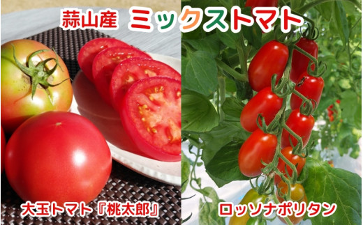 亮麻農園　ミックストマト　大玉トマト「桃太郎」＆イタリアントマト「ロッソナポリタン」【ryoma003】 336008 - 岡山県真庭市