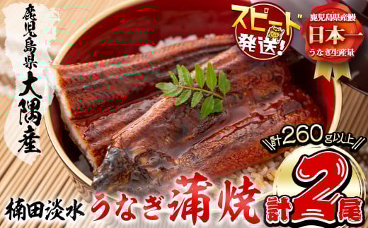 ＜入金確認後、2週間以内に発送！＞楠田の極うなぎ蒲焼き130g以上×2尾(計260g以上) 山椒付たれ 鰻 ウナギ 蒲焼 うな重 ひつまぶし 鹿児島 冷凍 おかず お祝い a4-093-2w 2154904 - 鹿児島県志布志市