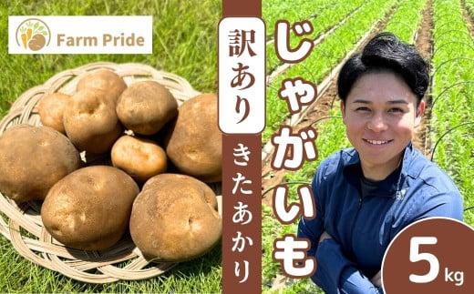 ＜先行予約＞【訳あり】Farm Prideが育てた じゃがいも きたあかり 5kg | じゃがいも きたあかり キタアカリ 野菜 料理 コロッケ ポテトサラダ 産地直送 株式会社farmpride 埼玉県 所沢市