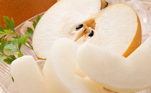 訳あり 梨 3kg なし ナシ くだもの 果物 フルーツ 国産 九州 熊本県 熊本市 冷蔵 【2025年8月上旬～10月上旬迄発送予定】