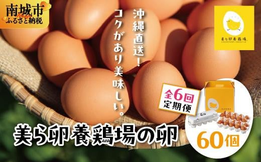 卵の黄身が掴めるほどの新鮮さ 美ら卵養鶏場の卵 60個【6ヶ月定期便】