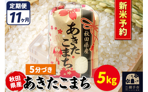 《令和7年産 新米受付》《定期便11ヶ月》あきたこまち 5kg【5分づき】秋田県産 こまちライン