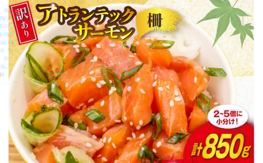 訳あり ノルウェー産 アトランティック サーモン 尾っぽ 850g 柵 おさしみ用 無添加 個包装 [足利本店 宮城県 気仙沼市 20565613] 鮭 さけ サケ サーモン 生食用 おつまみ おかず 冷凍 鮮魚 小分け アトランティックサーモン アトランサーモン