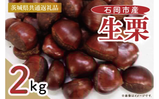 【茨城県共通返礼品】【9月中旬より発送】生栗（石岡市産）2kg【ホクホク ゆで栗 栗ご飯 甘露煮 くり 果物 阿見町 茨城県】（88-04）