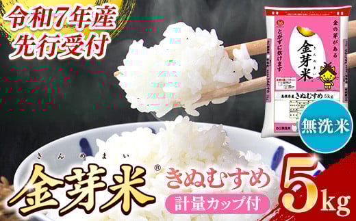 【先行受付】新米 令和7年産 BG無洗米・金芽米きぬむすめ 5kg 計量カップ付き【先行予約 新米予約 予約 節水 低カロリー 健康 ビタミン ミネラル つや お弁当 おいしい うまみ 甘み ふっくら 時短 簡単  島根県 安来市】