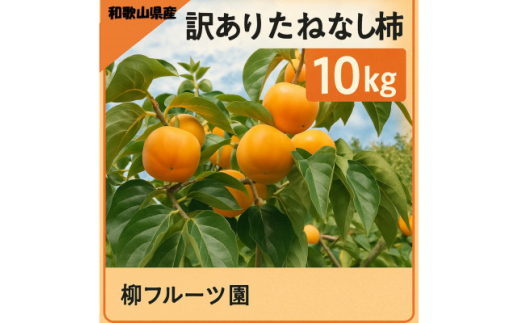 柳フルーツ園の訳ありたねなし柿　10kg【1077826】 1300244 - 和歌山県橋本市