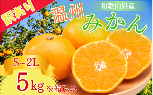  【和歌山県産】訳あり品 温州みかん 5kg※箱込み(早生・中生・晩稲)【S～2Lサイズおまかせ】【2025年10月中旬～2026年1月中旬頃までに順次発送】＜味好農園＞/ 「おてんば娘」みかん 蜜柑 柑橘 温州みかん 訳あり 果物 フルーツ 甘い 果汁溢れる【agy017A】 1313037 - 和歌山県紀美野町
