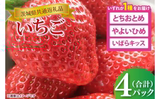 【茨城県共通返礼品】【先行予約】2026年１月中旬～発送 いちご（とちおとめ、やよいひめ、いばらキッスのいずれか1種）270ｇ×4パック(88-03)
