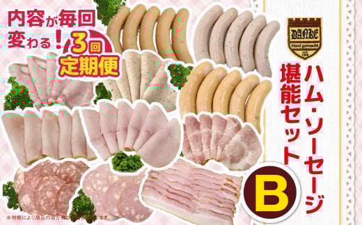 【定期便3回】ハム・ソーセージ堪能セットB | 肉 豚肉 豚 加工 加工肉 ハム ソーセージ ギフト セット 手作り 低添加 栃木県 特産品