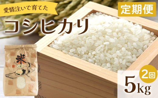 【定期便】愛情注いで育てたコシヒカリ 5kg 2回 合計10kg Wtd-0010