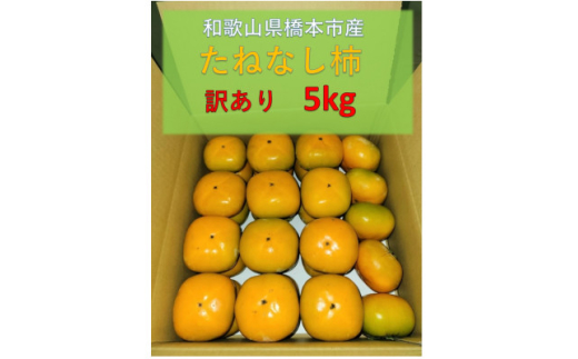 ＜令和7年10月発送予定＞藤田ぶどう園のたねなし柿(訳あり)5kg【1518445】 1451881 - 和歌山県橋本市