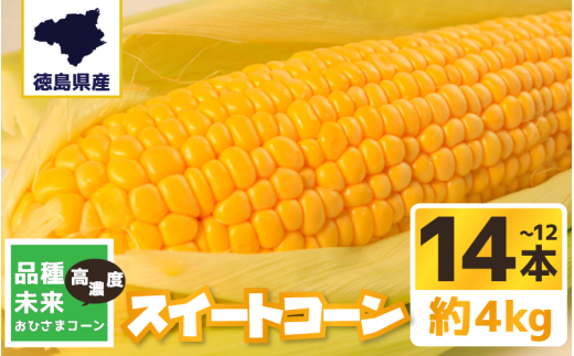 とうもろこし 約4kg スイートコーン コーン 野菜 やさい 新鮮 サラダ 醤油 バター 砂糖 天ぷら スープ コーンスープ BBQ 焼き肉 アウトドア キャンプ 冷蔵 産地直送 送料無料 徳島県 三好市 みよし 篠原農園 おひさまコーン 味来
