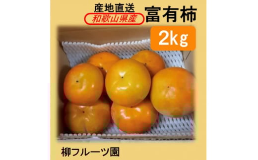 柳フルーツ園の富有柿 約2kg<2025年冬配送>【1456563】 1300258 - 和歌山県橋本市