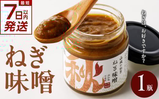 【スピード発送】最短7日以内発送！！【京都山城のねぎ】 ねぎ味噌 山城のねぎ 九条ねぎ ねぎ ネギ 味噌 みそ コチュジャン味噌 コクのある ねぎ味噌 瓶 京都府 木津川 [100gx1本] 【001-06-S】