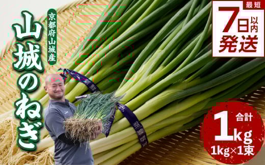 【スピード発送】最短7日以内発送！！山城のねぎ 1kg 京野菜 ネギ 山城のねぎ 京都府 木津川市 ねぎ 葱 京都府産 野菜  【001-12-S】