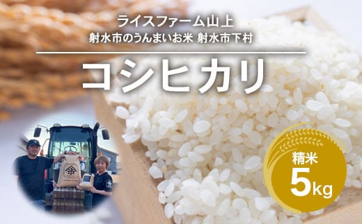 R7年産コシヒカリ5kg｜射水市 ライスファーマー山上 農家直送 射水の美味しいお米 精米 ※離島への配送不可 ※2025年9月下旬～10月中旬頃に順次発送予定