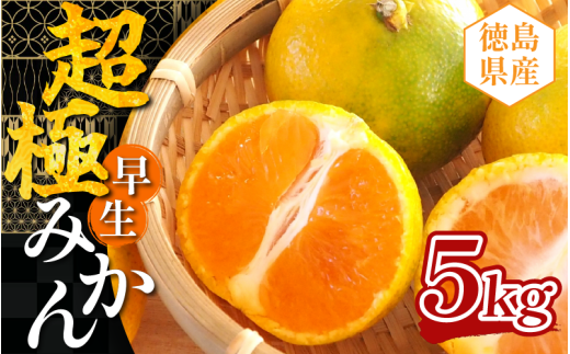 みかん 約5kg 超極早生みかん 蜜柑 柑橘 フルーツ 果物 オレンジ ジュース デザート ケーキ アイス シャーベット ゼリー スイーツ お菓子 ギフト 送料無料 徳島県 三好市 みよし 篠原農園
